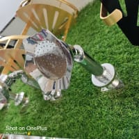 S.S রোজ শাওয়ার