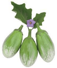 বল বেগুন